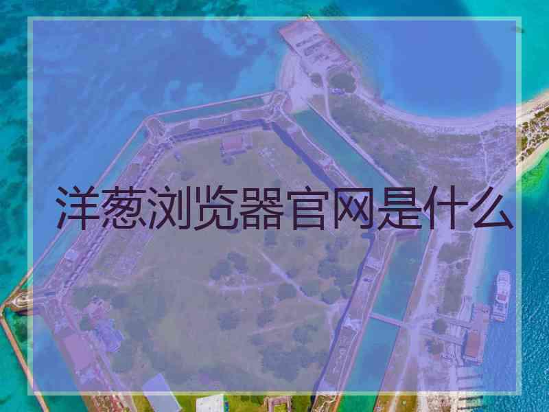 洋葱浏览器官网是什么