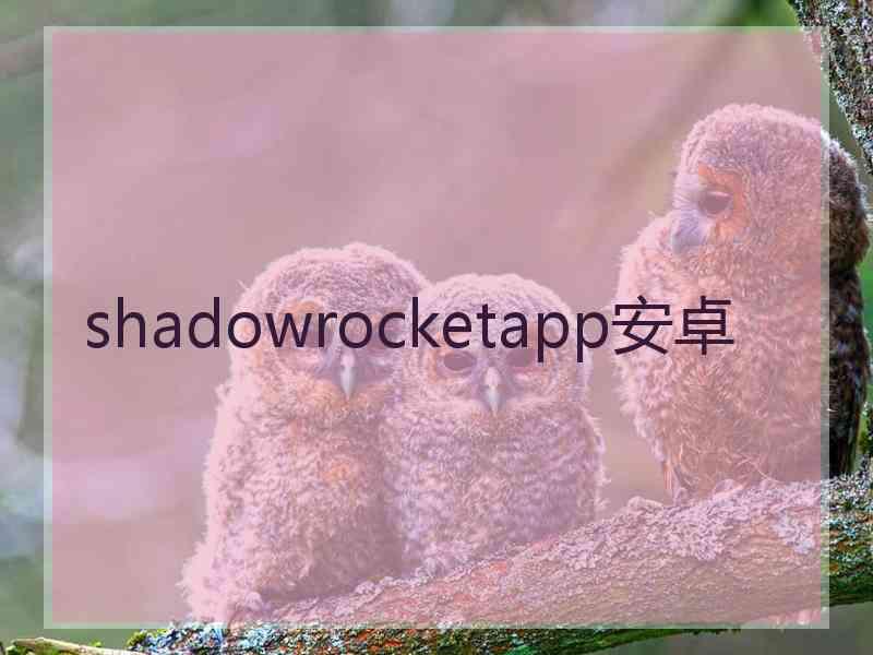 shadowrocketapp安卓