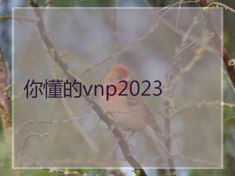 你懂的vnp2023