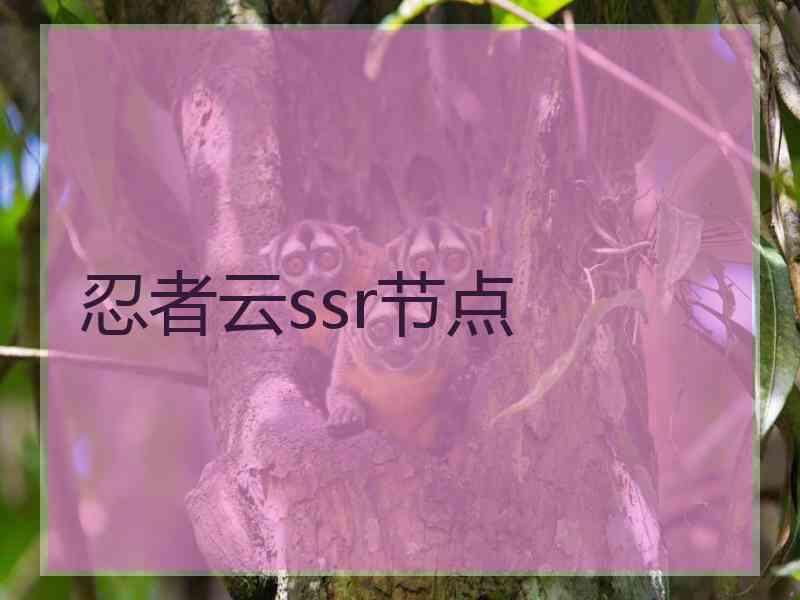 忍者云ssr节点