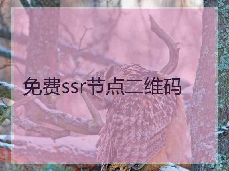 免费ssr节点二维码