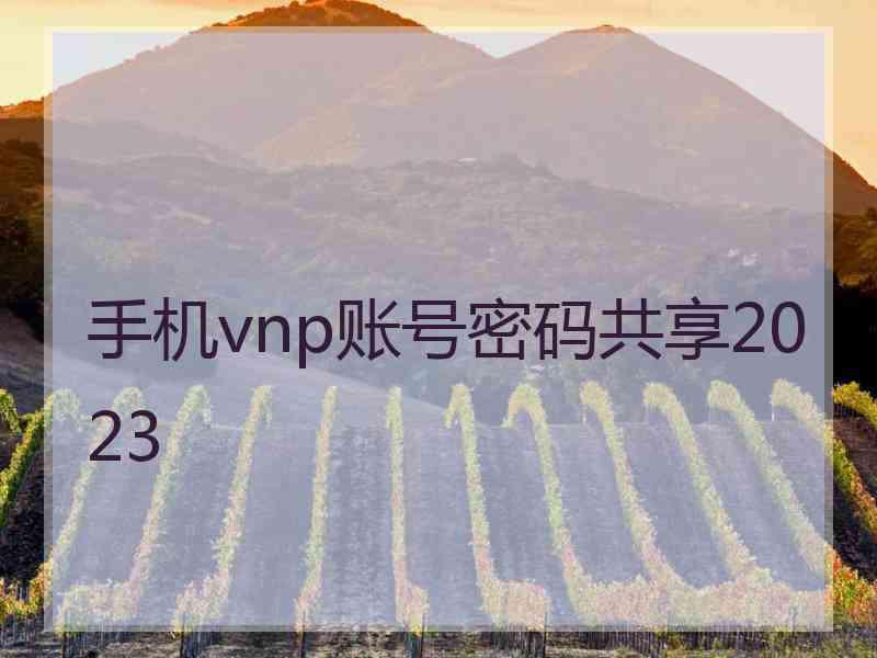 手机vnp账号密码共享2023