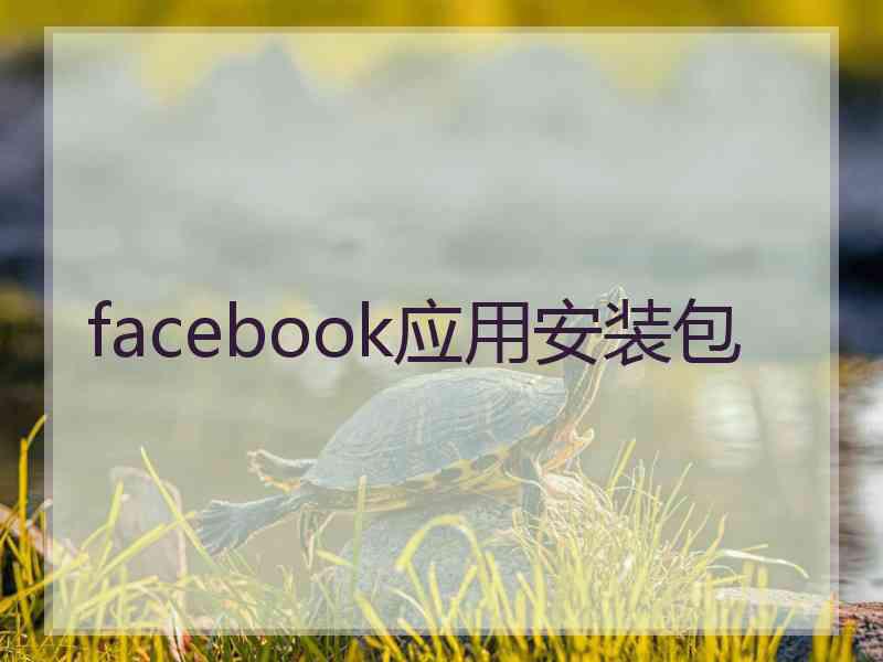 facebook应用安装包