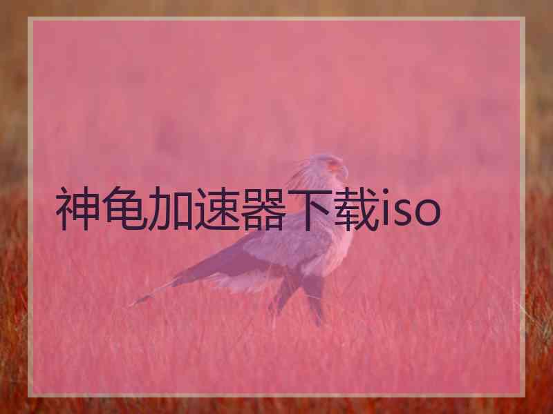 神龟加速器下载iso