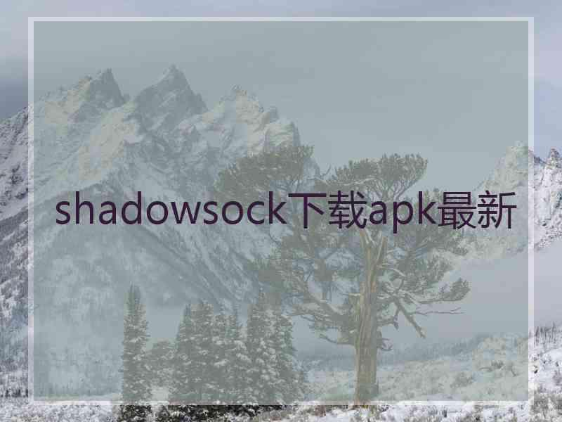 shadowsock下载apk最新