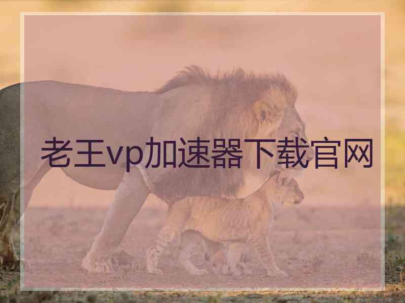 老王vp加速器下载官网